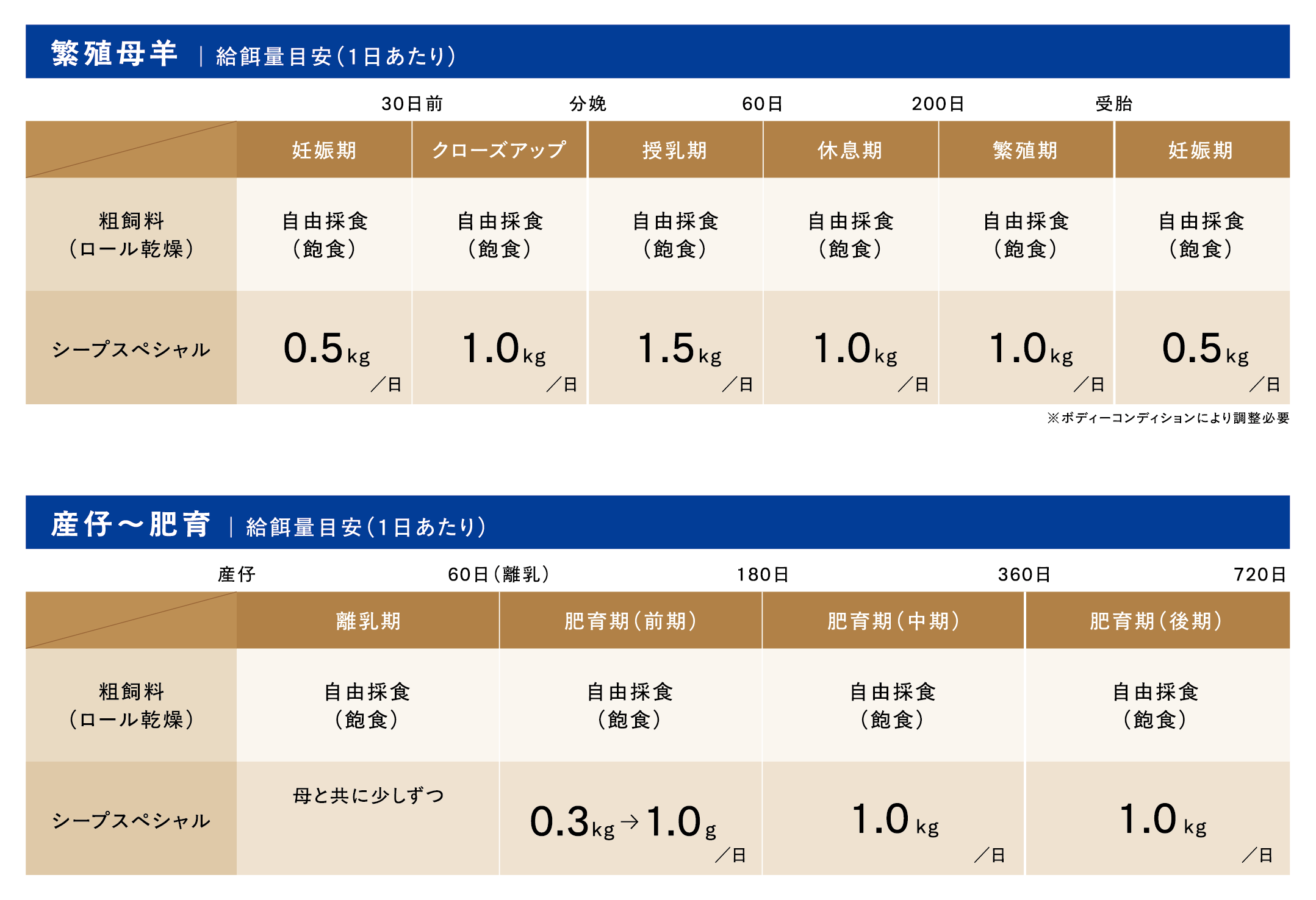 給与表