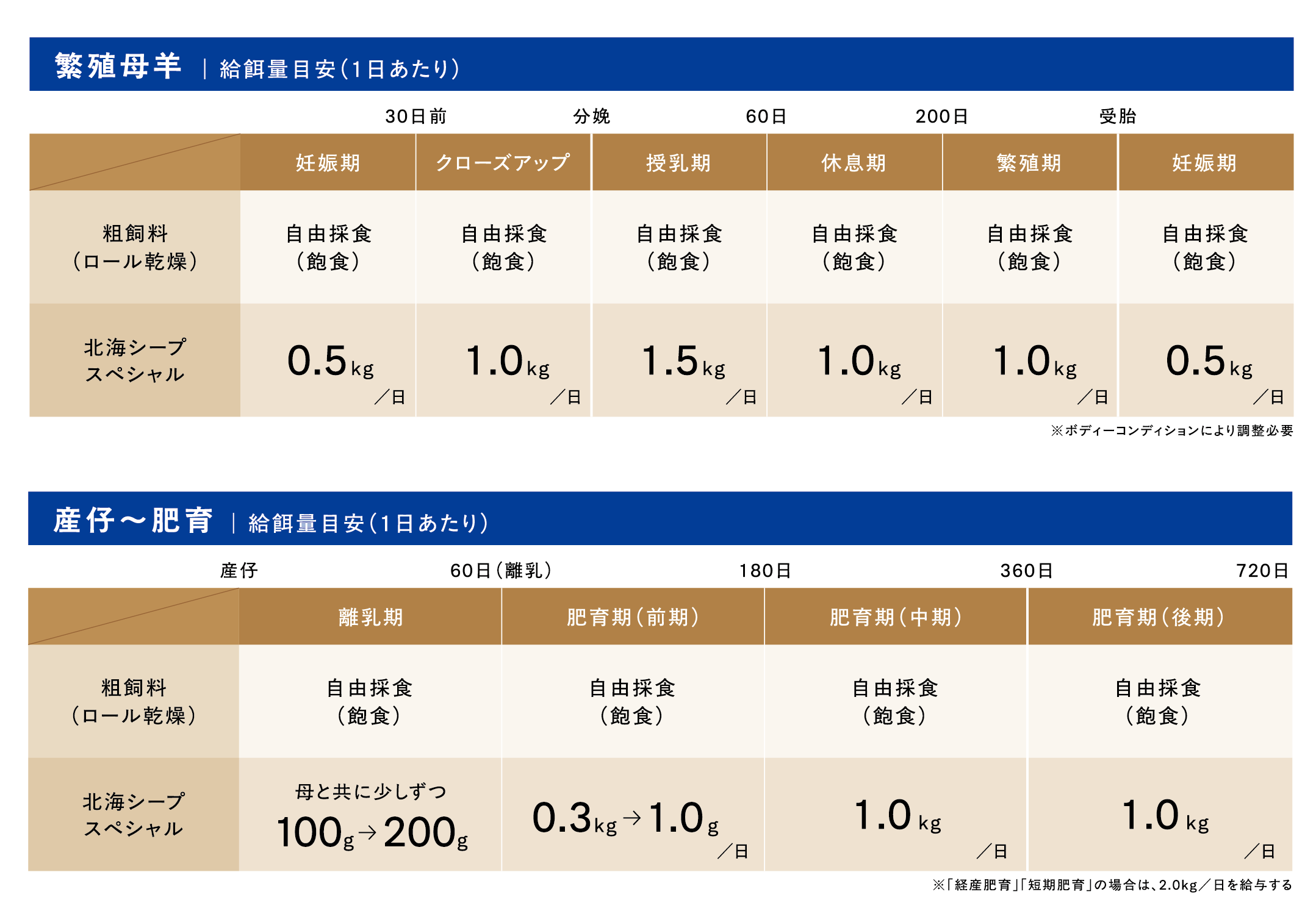 給与表